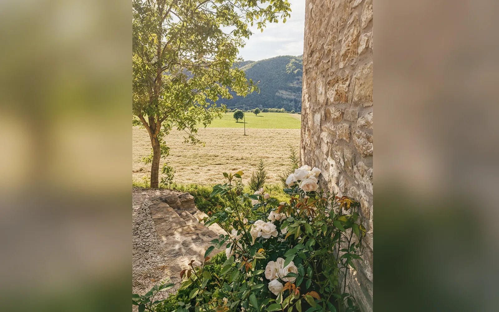 Esterni di Agriturismo le Fontanelle - Podere Piana, Castel del Rio (Emilia-Romagna) (foto 2)