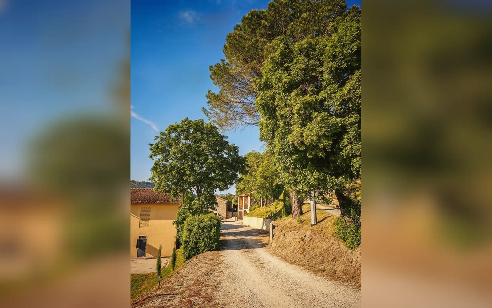 Esterni di Agriturismo le Fontanelle - Podere Piana, Castel del Rio (Emilia-Romagna) (foto 7)