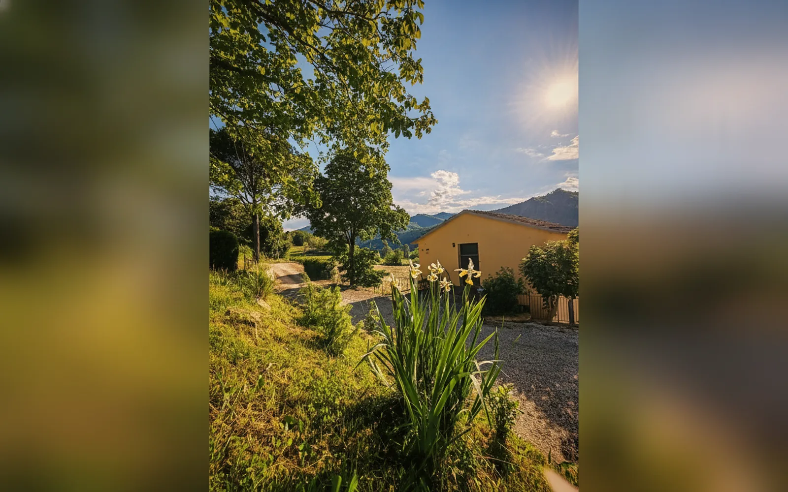 Esterni di Agriturismo le Fontanelle - Podere Piana, Castel del Rio (Emilia-Romagna) (foto 9)